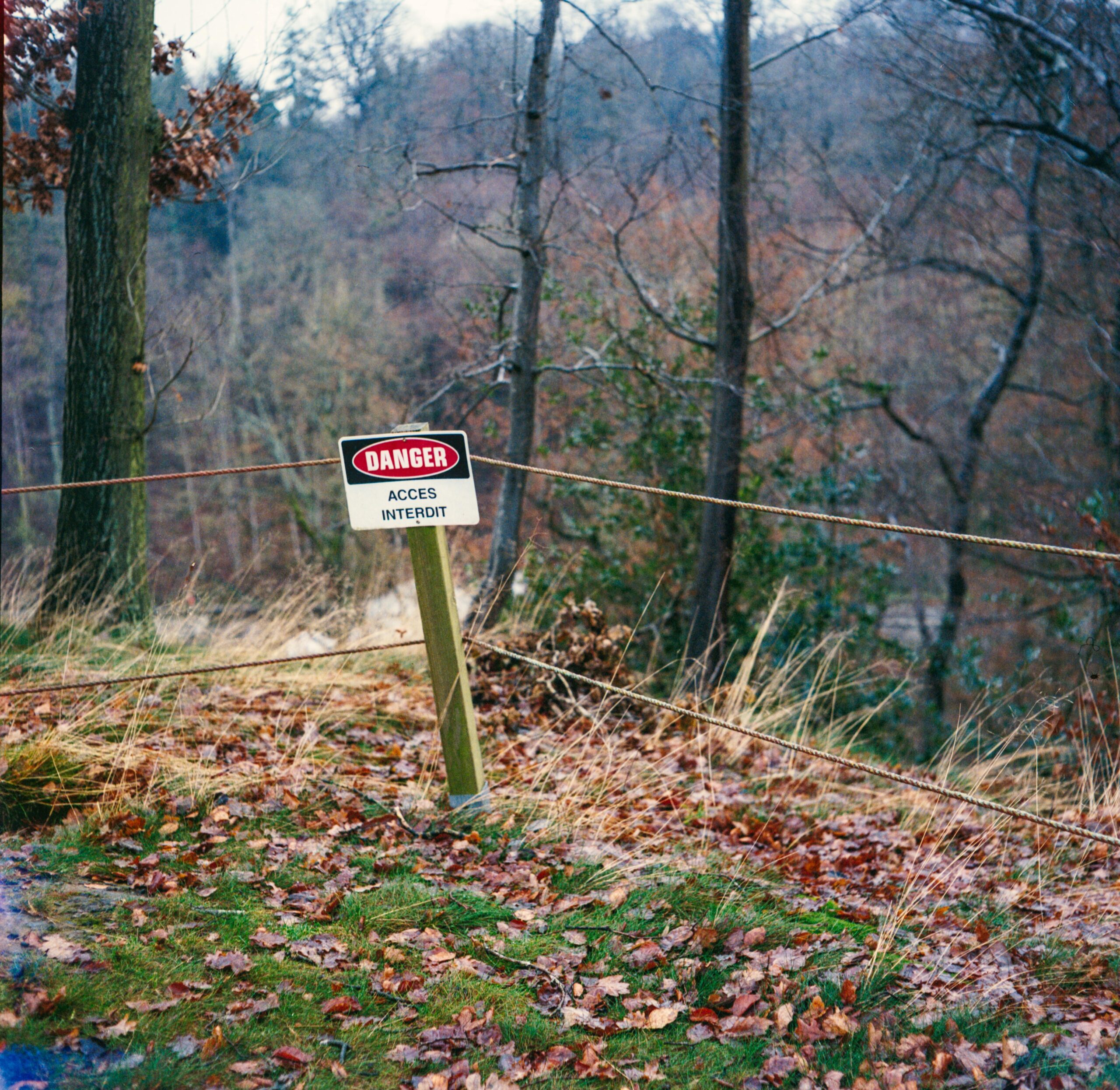 RISK