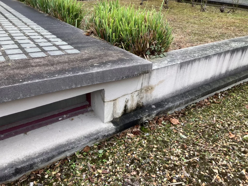Mur en béton bordant l'allée d'une copropriété, avec coulures de ruissellement, encrassement biologique et soupirail en pied