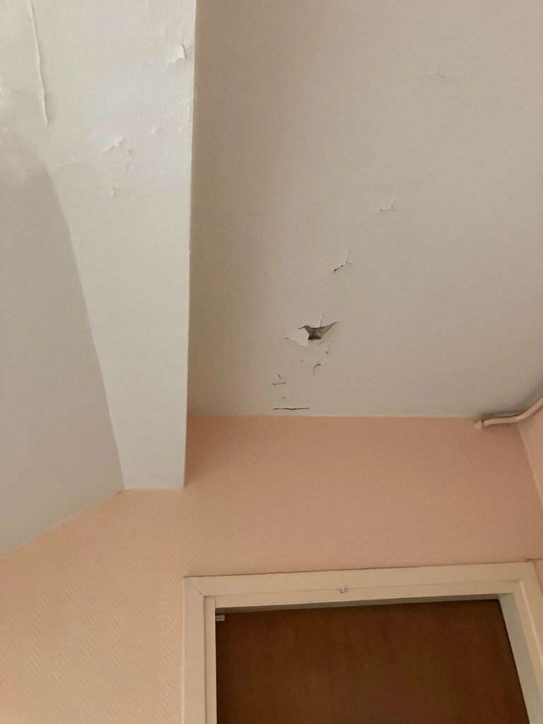 Décollement de peinture et trace d'humidité en partie commune